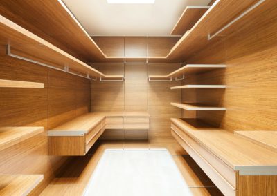 Modern walking closet in remodeled home