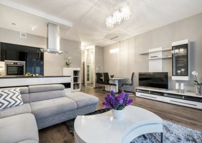 ultra modern living room remodel